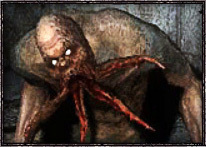 S.T.A.L.K.E.R.: Чистое Небо - Мутанты игры S.T.A.L.K.E.R. - вошедшие и вырезанные S.T.A.L.K.E.R.: Чистое Небо - Мутанты игры S.T.A.L.K.E.R. - вошедшие и вырезанные