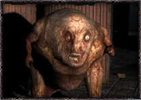 S.T.A.L.K.E.R.: Чистое Небо - Мутанты игры S.T.A.L.K.E.R. - вошедшие и вырезанные S.T.A.L.K.E.R.: Чистое Небо - Мутанты игры S.T.A.L.K.E.R. - вошедшие и вырезанные