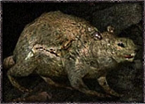S.T.A.L.K.E.R.: Чистое Небо - Мутанты игры S.T.A.L.K.E.R. - вошедшие и вырезанные S.T.A.L.K.E.R.: Чистое Небо - Мутанты игры S.T.A.L.K.E.R. - вошедшие и вырезанные
